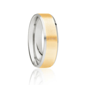 Two Tone Brushed Ring