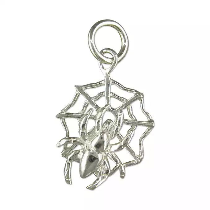Spider On Web Charm