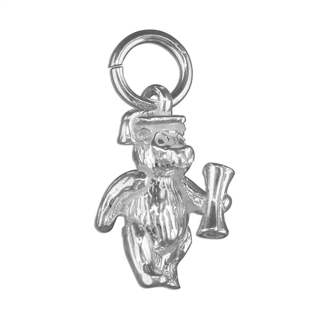 Graduation Teddy Charm