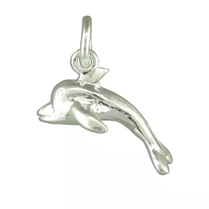 Dolphin Charm