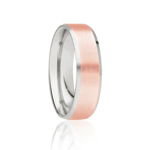 Two Tone Brushed Ring